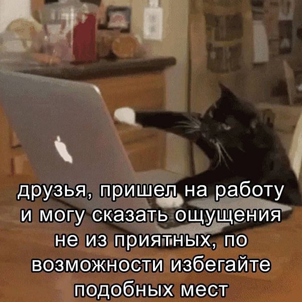 ��� ���� - 17 ���� 2025 � 17:43