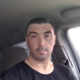 ���� ������, �����-���������, 55 ��� - ��������� 8 ������ 2024