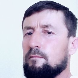Orip, ������, 41 ���