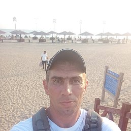 , 41, 