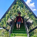 ���� �������, ������, 37 ��� - ��������� 17 ���� 2025 � ������ ���� ����������