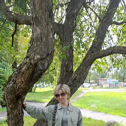  , -, 55  -  29  2025