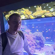 ����, 29 ���, ������