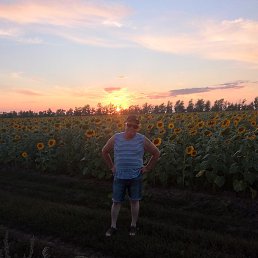 �������, ��������, 51 ���