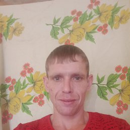 ����, 33 ����, ������ ��������