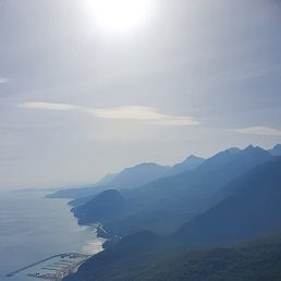 Timur, , 44 