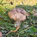 ���� ������� ���������, ������ �����, 46 ��� - ��������� 20 �������� 2025 � ������ ���� ����������