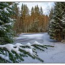 ���� �������, �����-���������, 55 ��� - ��������� 27 ������� 2024 � ������ ������ ��������
