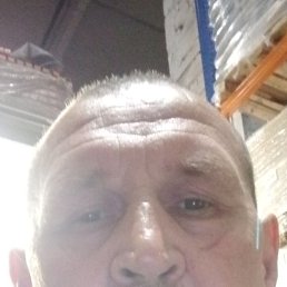 ������, �������, 46 ���