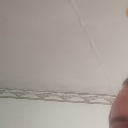 ���������, ���������, 29 ���