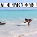 ���� ������, ��������� - ��������� 4 ���� 2026 � ������ ������ ��������