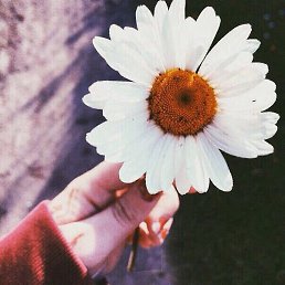 �����, �����-���������, 59 ���