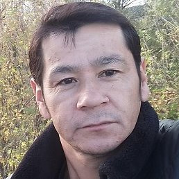 ��������, ������, 37 ���