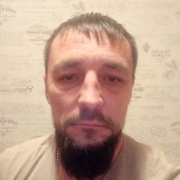 ���������, ������ ��������, 41 ���