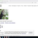 ���� ����������, ������, 49 ��� - ��������� 29 ������� 2025 � ������ ���� ����������