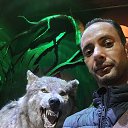 ���� ������, ������, 41 ��� - ��������� 20 ����� 2026 � ������ ���� ����������