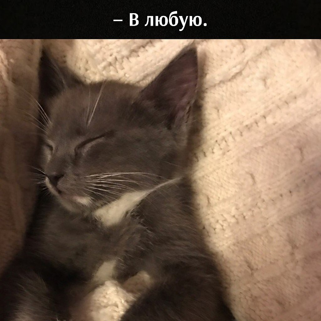       - 6  2025  11:48 - 3