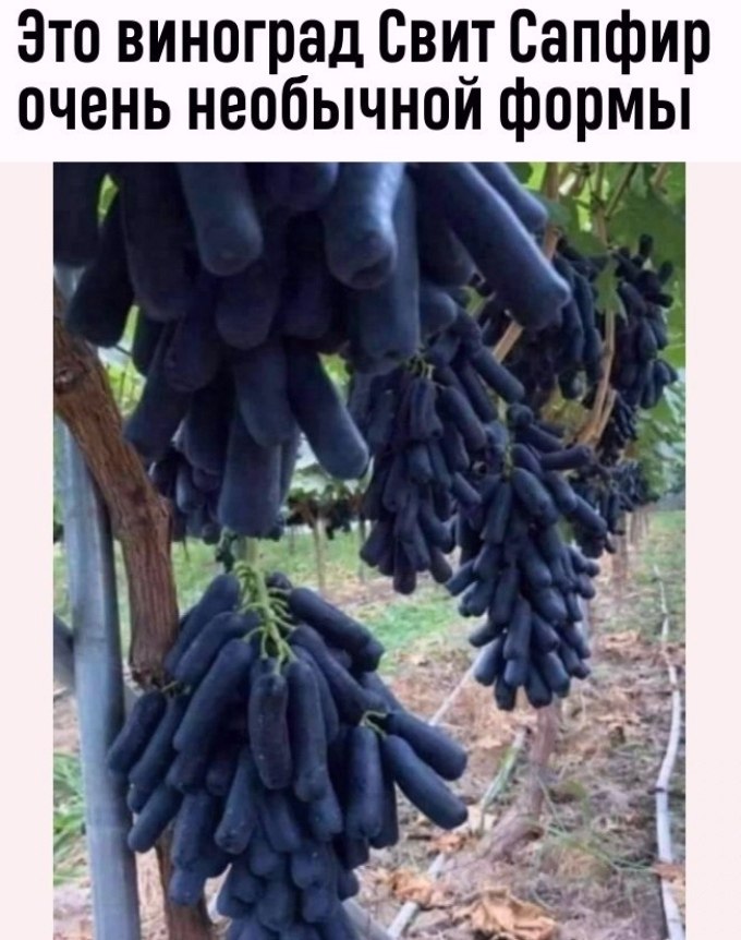  - 10  2025  07:53