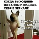 ���� �����, ������, 50 ��� - ��������� 11 ������� 2024 � ������ ������ ��������