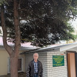 ������, ������, 71 ���