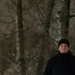 ���������, ���������, 41 ���