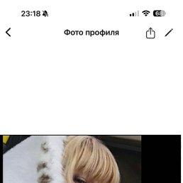 �����, ������, 50 ���