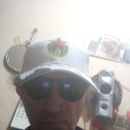 , 56, 