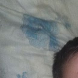 ��������, ������, 40 ���