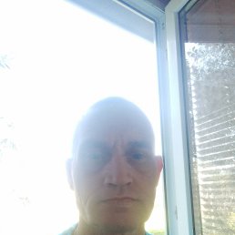   , -, 53  -  19  2024