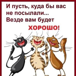 ����, �����������, 50 ���