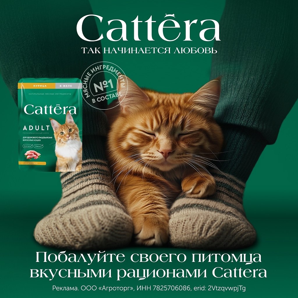    :        Cattera. ...
