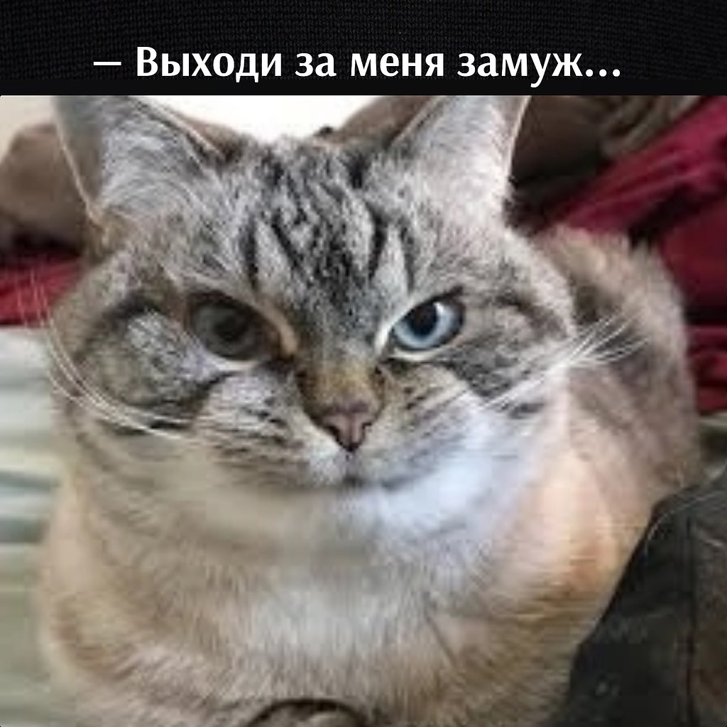       - 3  2025  16:38 - 2