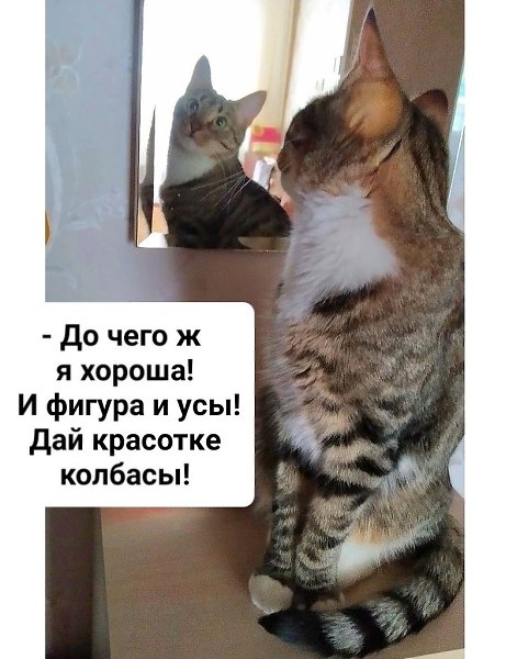 ��� ���� � ����� �� �� - 24 ������ 2024 � 14:27