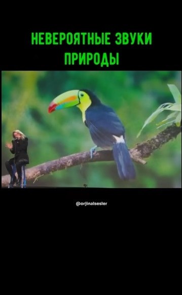 ��� ��� ��� ������? ������ ����������
