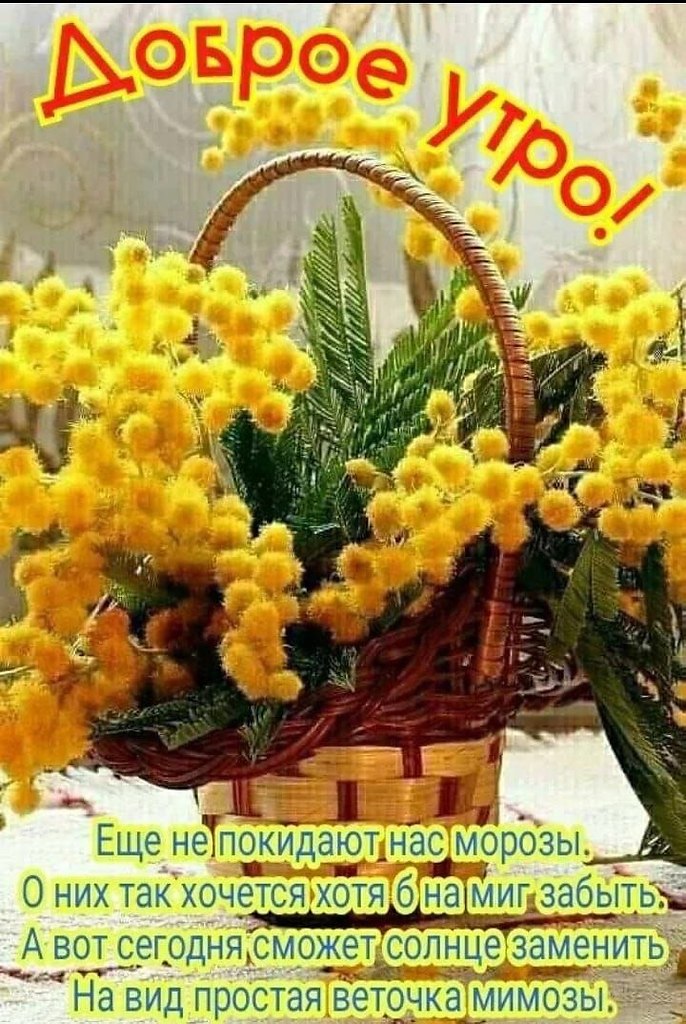 ��� ���� - 10 ����� 2026 � 09:53