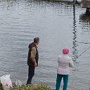 ���� �������, ����������, 66 ��� - ��������� 2 ��� 2026 � ������ ���� ����������