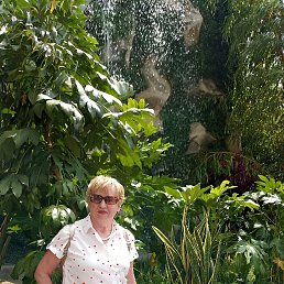 ���� �������, ������, 63 ���� - ��������� 29 ������� 2025