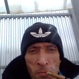 �������, 49 ���, ��������