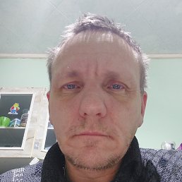 �����, 41 ���, ���������