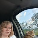 ���� �����, ��������, 41 ��� - ��������� 7 ��� 2026 � ������ ���� ����������