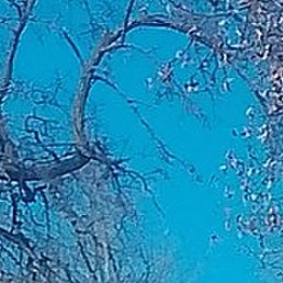 ���������, ������, 44 ����