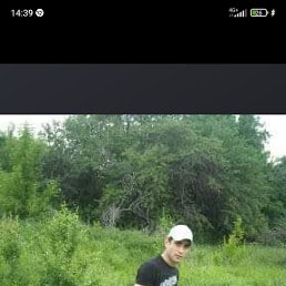 Ash, ������, 32 ����