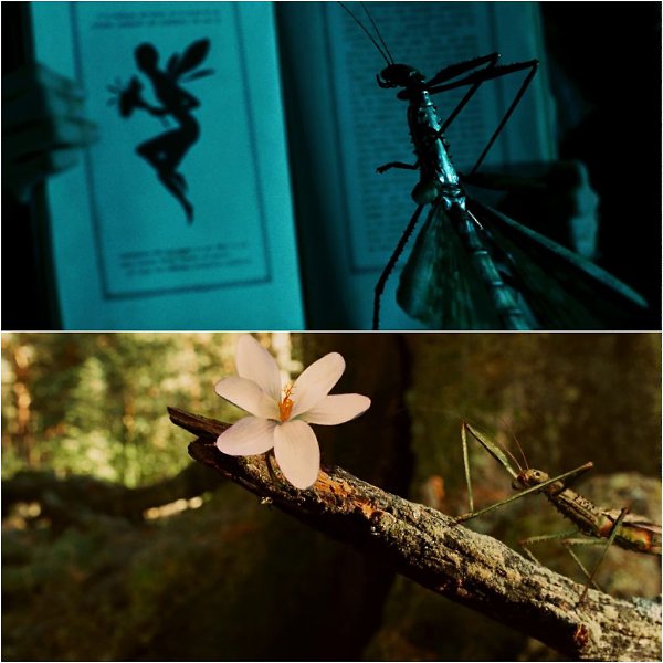 Лабиринт Фавна / El laberinto del fauno (2006). Режиссер: Гильермо дель Торо Оператор: Гильермо ... - 4