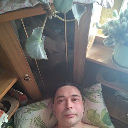 ���� ����, �����������, 53 ���� - ��������� 26 ���� 2026