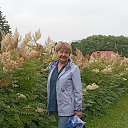 ���� �������, �����, 63 ���� - ��������� 12 ������ 2026