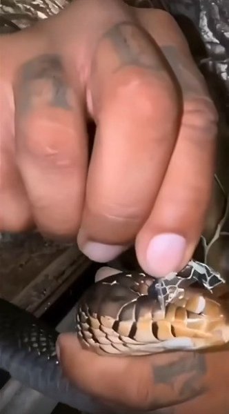 ������ ���� �� ������ ����� ������������)