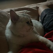����, 22 ����, ������