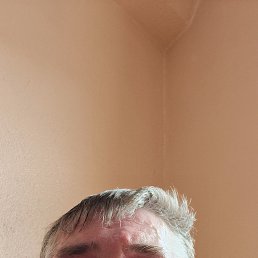 ����, 48 ���, �����������