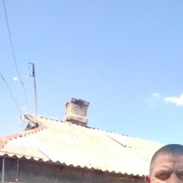 �������, ����, 43 ����