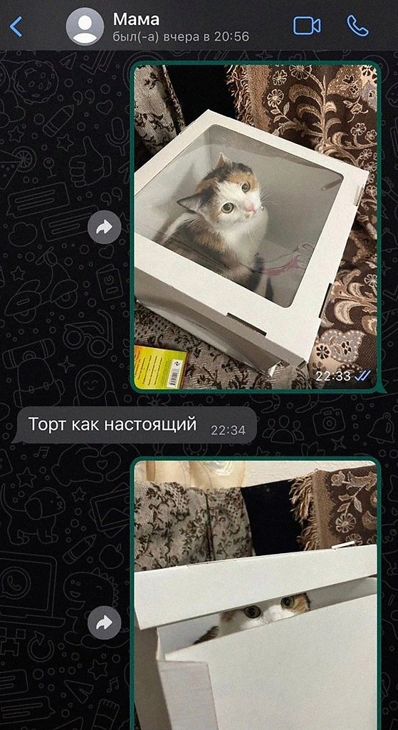 ����� ������